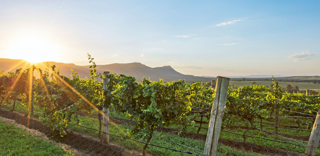 application personnalisée événement